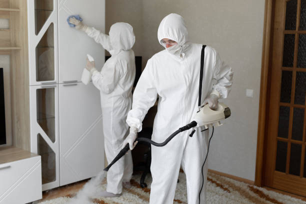 Home Mold Removal in Tuscumbia, AL