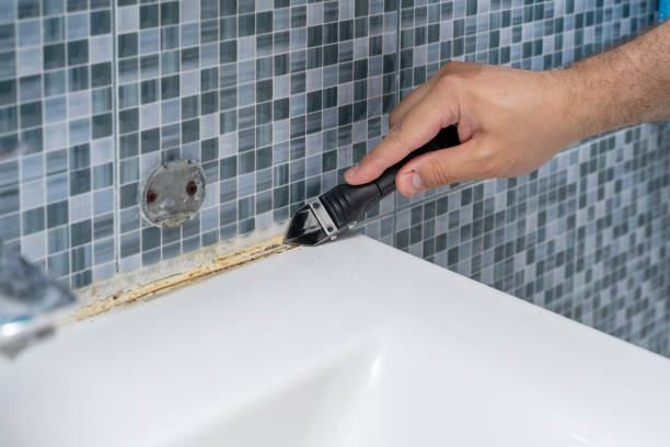 Best Commercial Mold Removal  in Tuscumbia, AL