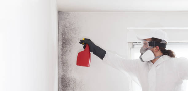 Tuscumbia, AL Mold Removal Company
