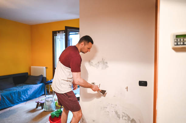 Best Office Mold Removal Services  in Tuscumbia, AL